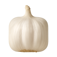 Chinese Garlic Export