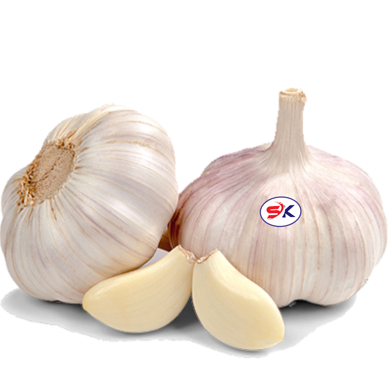 Garlic and Chestnut Export from China